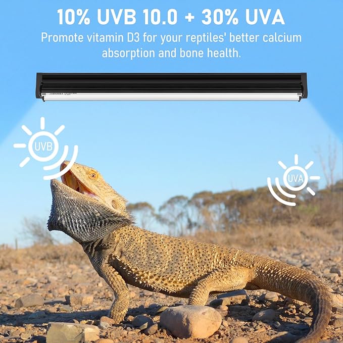 T5 10.0 UVB Light Fixture for Bearded Dragon, T5 UVA UVB HO Reptile Light Tube Lamp Blub 24W 22" for Tortoise,Desert Lizards,Leopard Gecko,Reptile & Amphibian Lamp