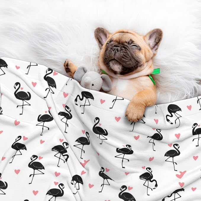 Reversible Dog Blanket for Beds Couches, Flamingo, Double Sided Cat Blanket with Textured Dot Feel and Smooth Feel for Seasonal Comfort All Year