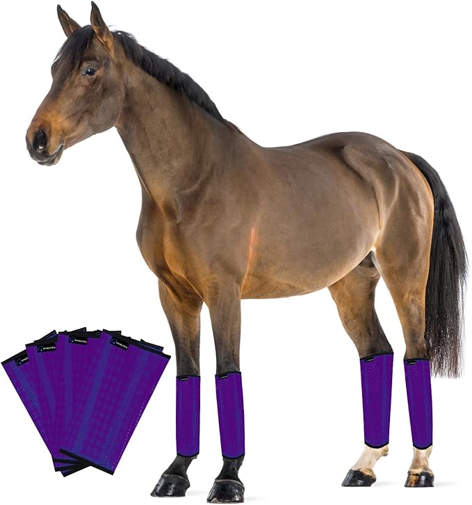 FOXLVDA Horse Fly Boots - Fly Boots for Horses Set of 4, Comfortable Horse Leggings, Mesh Material Design with Metal Support Bars for Reduces Stomping & Leg Fatigue (Purple, Large)