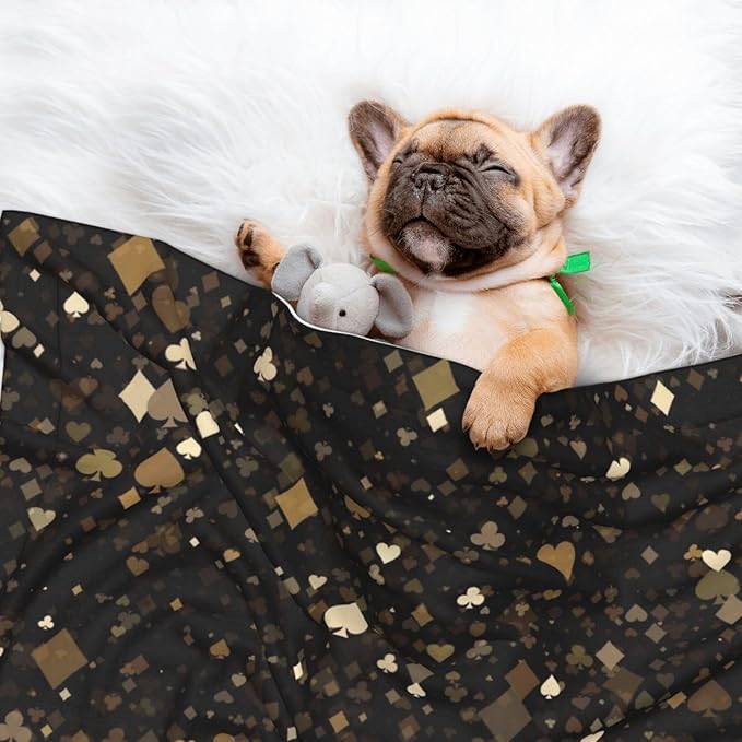 Casino Print Soft Plush Pet Blanket, Washable Dog Blanket, Cat Fleece Throw, Puppy Bed Crate Mat & Sofa Couch Protector - Medium
