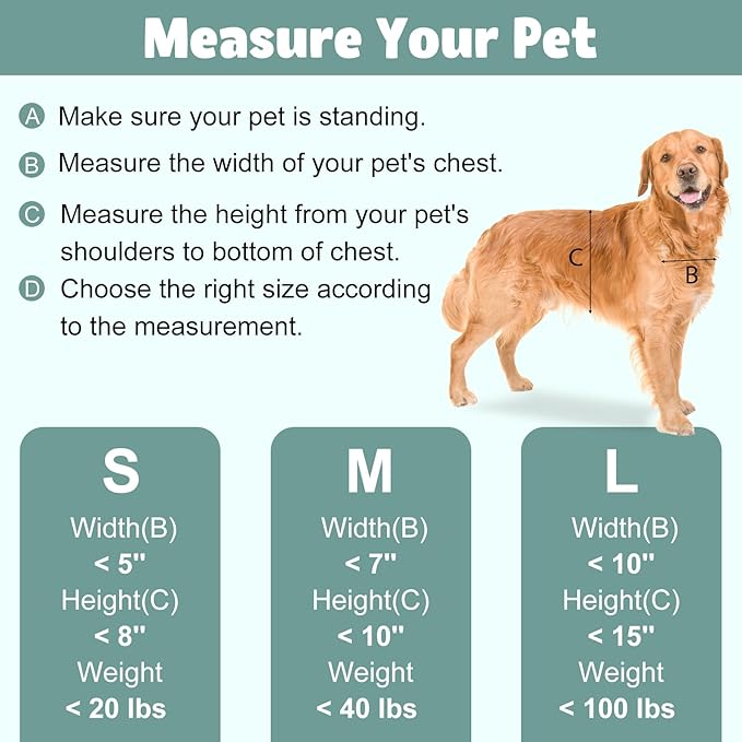 Dog Door, Weatherproof Pet Doors for Petite to Average Sized Dogs, Cats or Other Pets, Upgraded and Thickened, 8" × 11" Opening Flap Size, Easy Installation