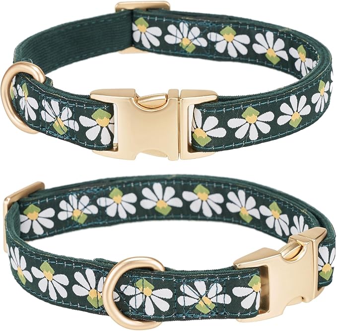 Woven Dog Collar with Metal Buckle Adjustable Jacquard Retro Dog Collars for Small Medium Large Dogs(Green,M)