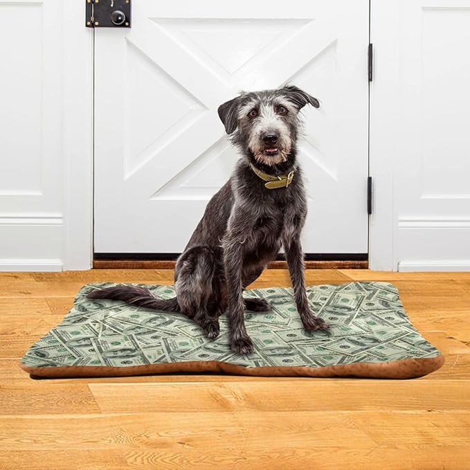 Pet Bed Money Print Dog Bed Mat Absorbing Non Slip Pad Pet Sleeping Mat for Small, Medium, and Large Dogs Puppy Cat 36 in x 24 in