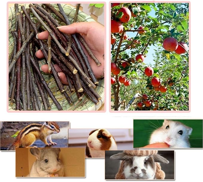 sharllen 300g(10.5oz) Apple Sticks (About 90 Sticks) Pet Chew Toys for Rabbits Chinchilla Guinea Pigs by