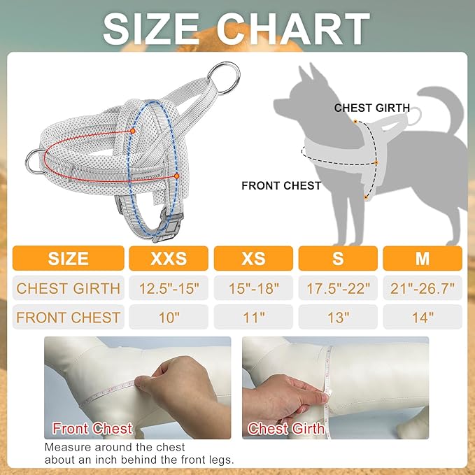 BEAUTYZOO Dog Harness for Small Dogs, No Pull Dog Harness and Leash Set, Soft Escape Proof Puppy Vest Harness with Handle, Reflective Lightweight Step in Harness for Girl Boy Dogs, Black S