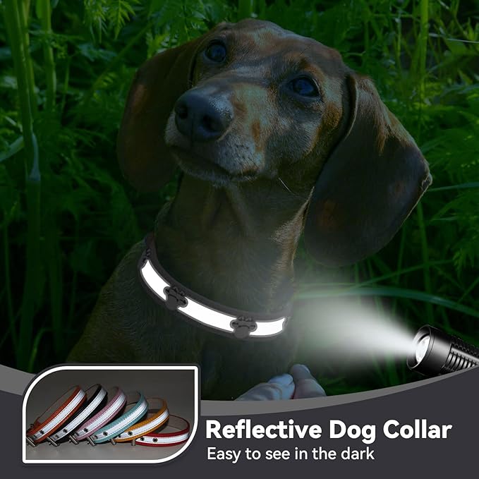 PETCARE Reflective Dog Collar with Cute Paw Rivet Studded Funny Soft PU Leather Adjustable Puppy Dog Collars for Small Medium Large Dogs Cats (Black,XX-Large)