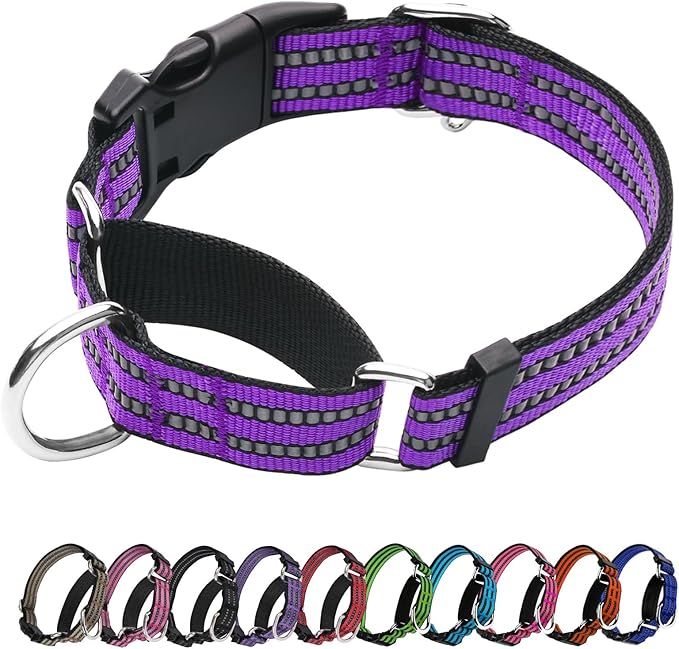 Martingale Dog Collar, Adjustable Nylon Reflective Collar with Quick Release Buckle (Real Purple, Medium)