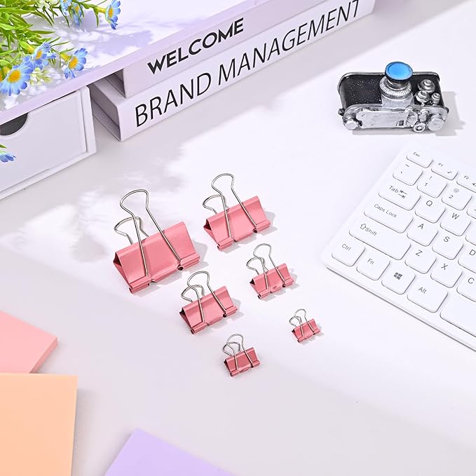Temiary Aesthetic Binder Clips, 48 Pcs 0.98 Inches Small Metal Binder Clip with Clear Storage Container, Binding Paperwork Clamps for School Teachers Office Supplies (Pink)