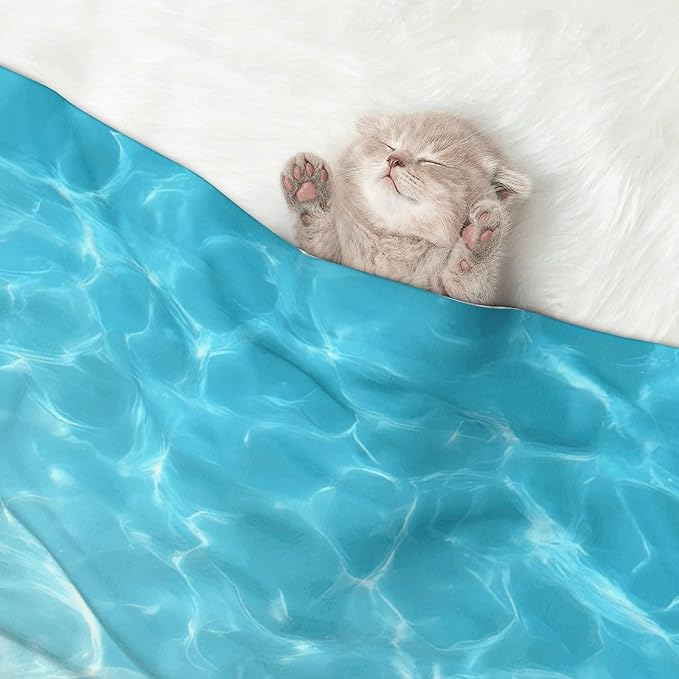 Waterproof Dog Blanket Soft Pet Blanket for Puppy Cat, Fleece Cat Throw Blankets for Furniture Bed Couch Sofa Reversible - Coral and Seashell On The Beach
