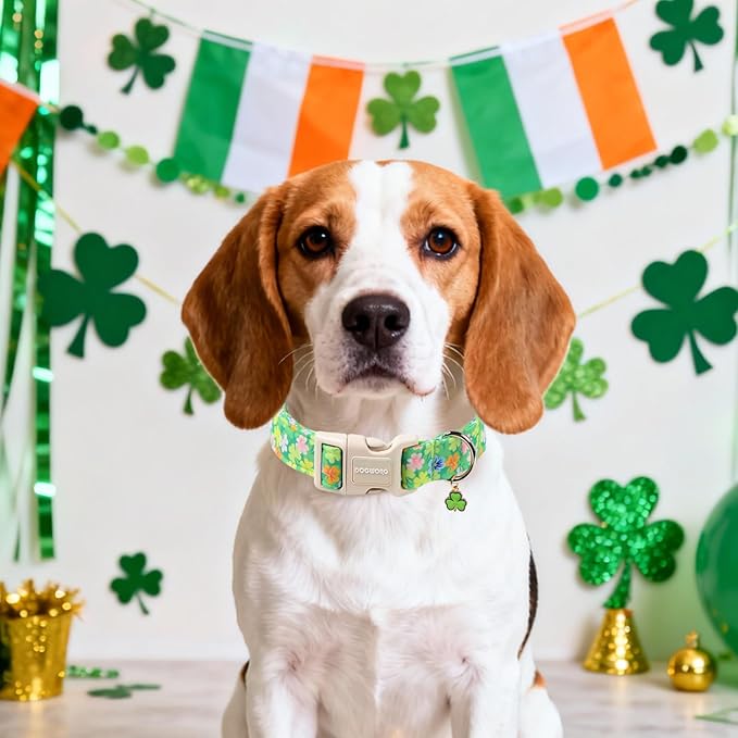 DOGWONG St. Patrick Dog Collar, Comfortable Adjustable Green Clover Pattern Dog Collar for Small Male Female Dogs,S