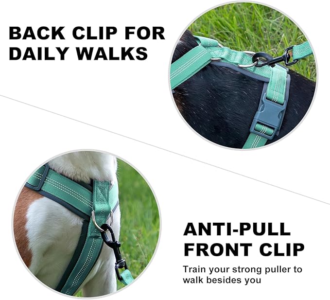 Plutus Pet No Pull Dog Harness, Adjustable Nylon Harness with Soft Padding, Reflective and Heavy Duty Dog Harness for Small, Medium, Large Dogs(Teal, L)