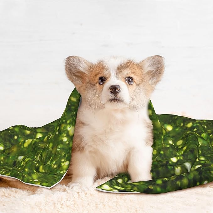 Waterproof Dog Blanket Soft Pet Blanket for Puppy Cat, Fleece Cat Throw Blankets for Furniture Bed Couch Sofa Reversible - Green Glitter Sparkle