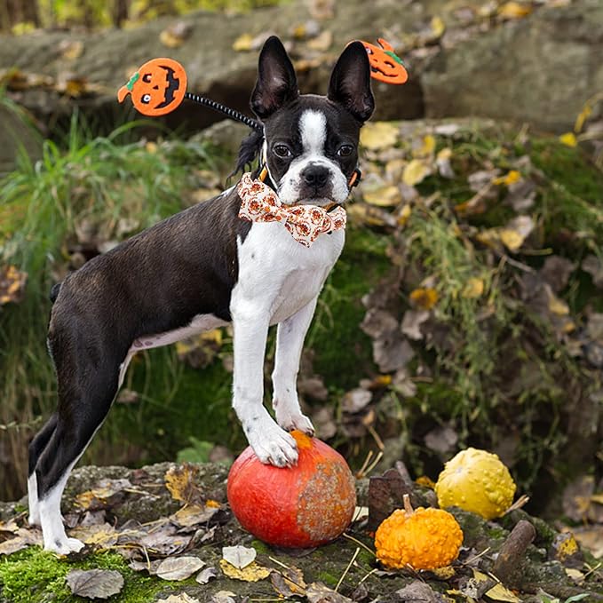Dog Collar - Thanksgiving Turkey Bowtie Gift Soft Bow Collar with Adjustable Metal Buckle for X-Large Dogs