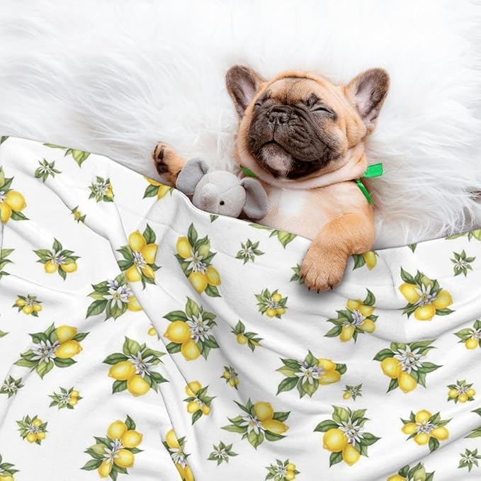 Reversible Plush Dot Pet Blanket for Dogs and Cats, Yellow Lemons Trees with Green Leaves and White Flower Summer Plant, Ultra Soft Two Sided Design with Warm Fuzzy Side and Smooth Side for Comfort