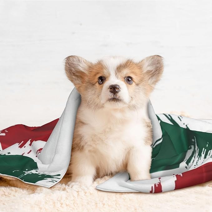 Two Sided Pet Cuddler Blanket for Anxiety Calming, Mexico Flag Cool Eagle, Reversible Plush Design with Bubble Dot Pattern Provides Familiar Surface Anywhere