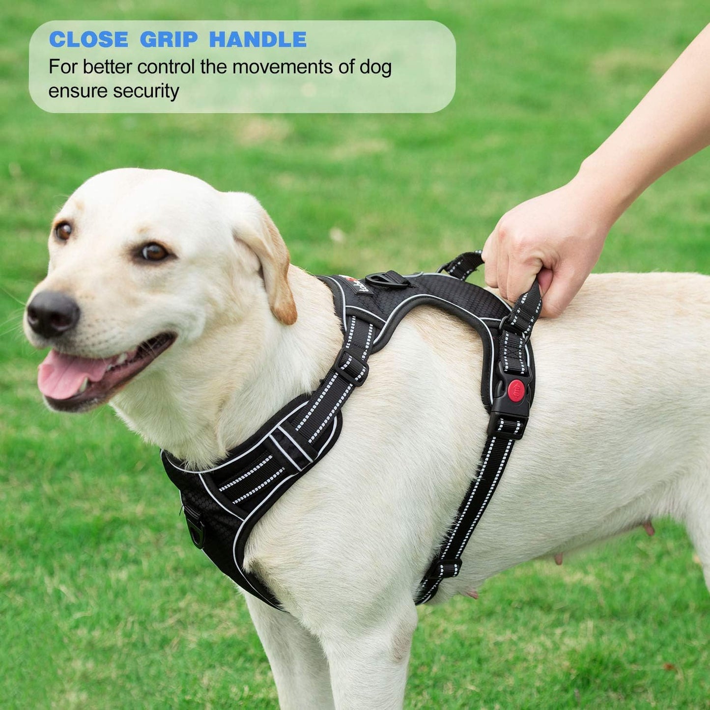 No Pull Dog Harness Adjustable Reflective Oxford Easy Control Medium Large Dog Harness with A Free Heavy Duty 5ft Dog Leash (M (Chest: 22"-26"), Red Harness+Leash)