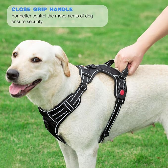 No Pull Dog Harness Adjustable Reflective Oxford Easy Control Medium Large Dog Harness with A Free Heavy Duty 5ft Dog Leash (S (Neck: 13"-18", Chest: 17.5"-22"), Black Harness+Leash)