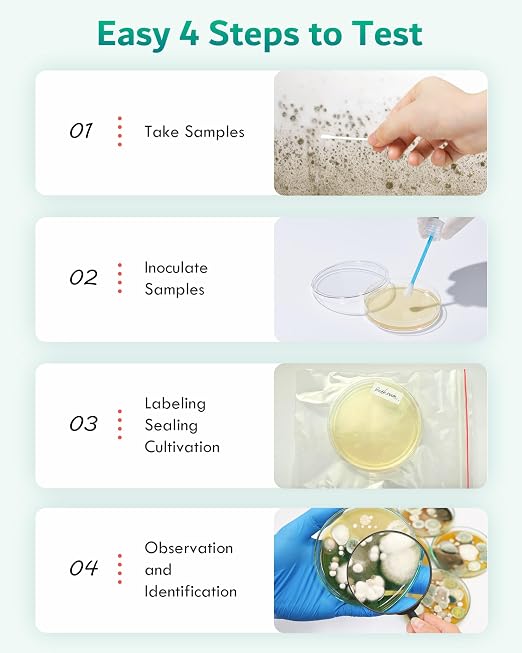 Mold Test Kit for Home