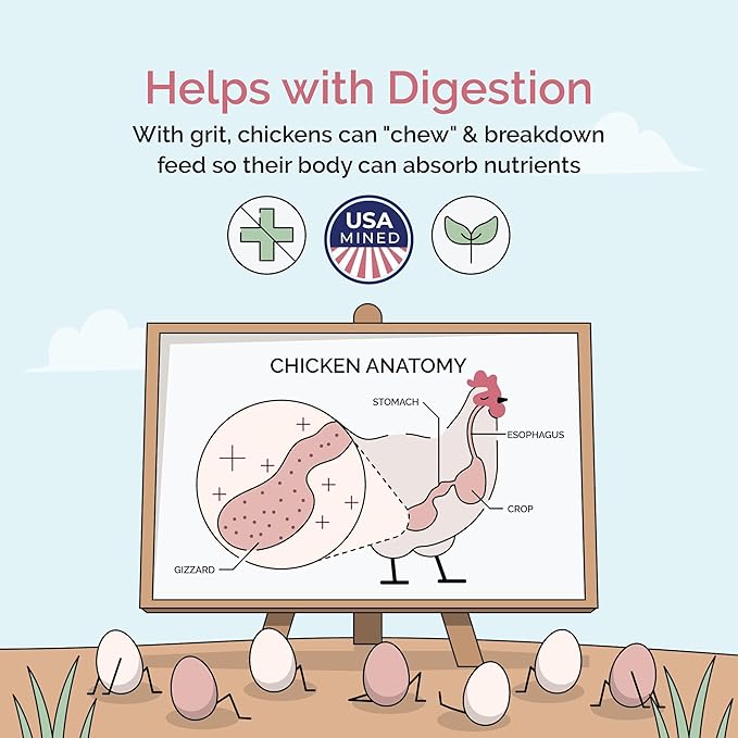 Mile Four Chicken Grit for Layer & Grower Chickens Age 8-20+ Weeks - 100% Natural Mineral Chicken Grit Quartzite, Poultry Grit, USA Mined, 50 lbs