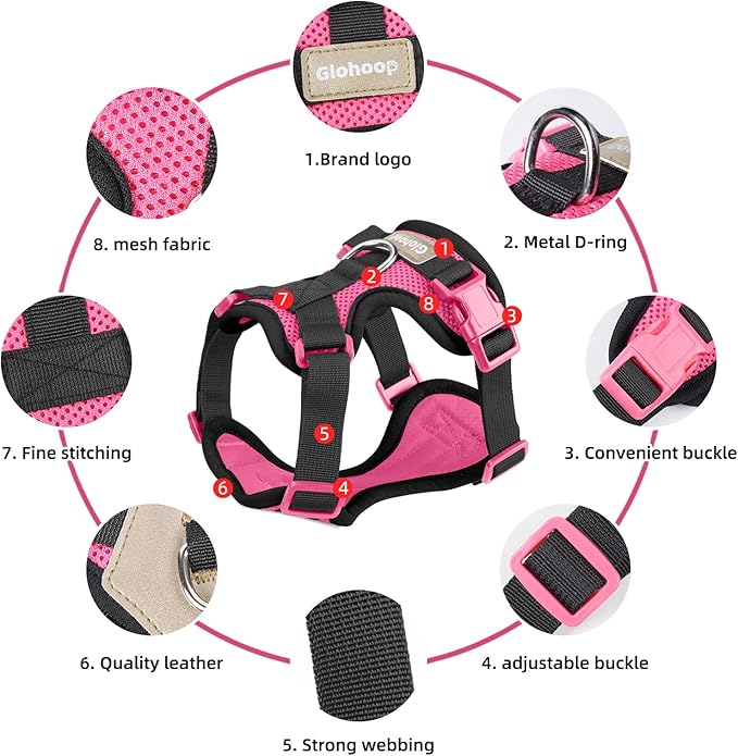 Small Dog Harness and Leash Set, Breathable Mesh Puppy Harness, Adjustable Dog Harness for Small Medium Large Dogs, No-Pull Pet Harness for Daily Walking (Hotpink, Small)
