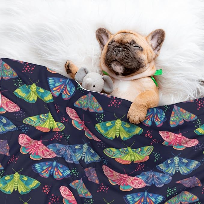 Two Sided Plush Pet Blanket for Warmth Comfort, Colorful Butterflies, Reversible Throw with Cozy Nubby Side for Chilly Nights Napping Spots Around House