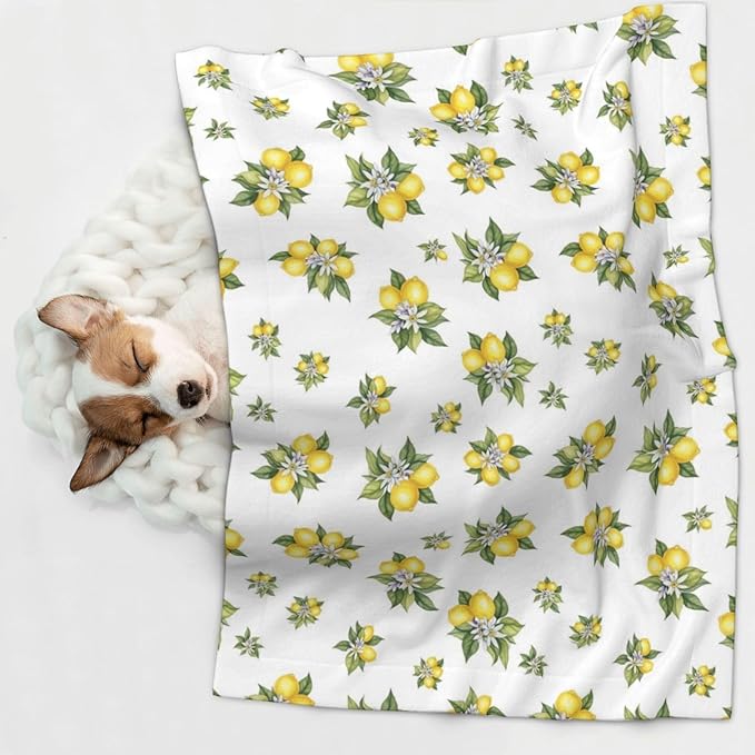 Double Sided Plush Pet Blanket with Cozy Dot Texture and Smooth Reverse, Yellow Lemons Trees With Green Leaves And White Flower Summer Plant, Reversible Throw for Dogs Cats on Couches Beds Crates