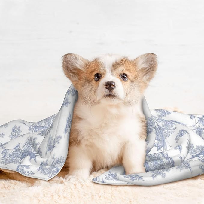 Pet Blanket for Couches and Beds, Chinese Style Powder Blue Chinoiserie Toile, Reversible Double Sided Plush Design with Soft Bumpy Texture and Smooth Surface, Furniture Protector