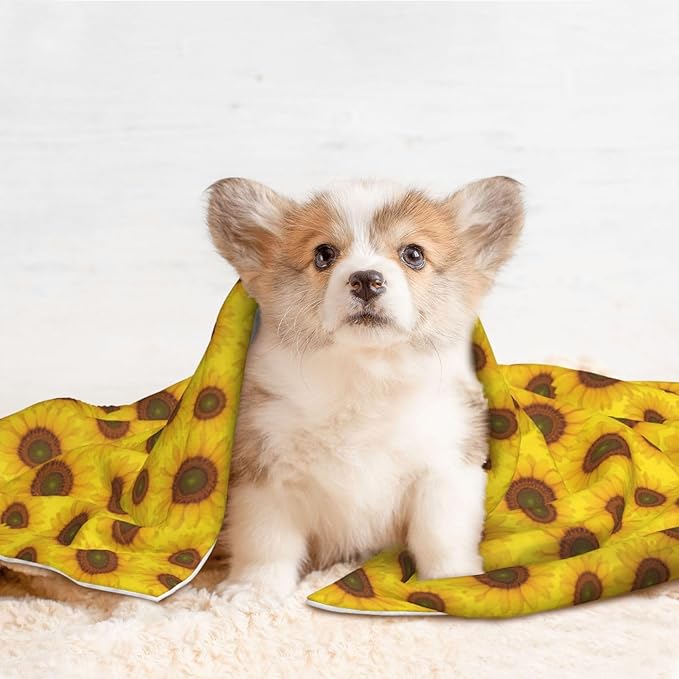 Pet Blanket for Couches and Beds, Beautiful Sunrise Sunflower Art, Reversible Double Sided Plush Design with Soft Bumpy Texture and Smooth Surface, Furniture Protector