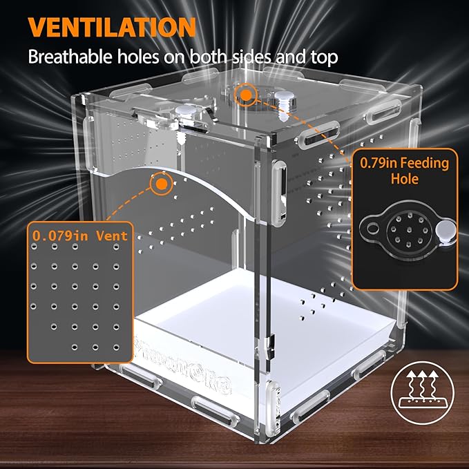 Jumping Spider Enclosure, Acrylic Insect Terrarium, Praying Mantis Habitat, Bug Enclosure, Arboreal Tarantula Enclosure Kit, Reptile Cage, Scorpion Lizard Tank