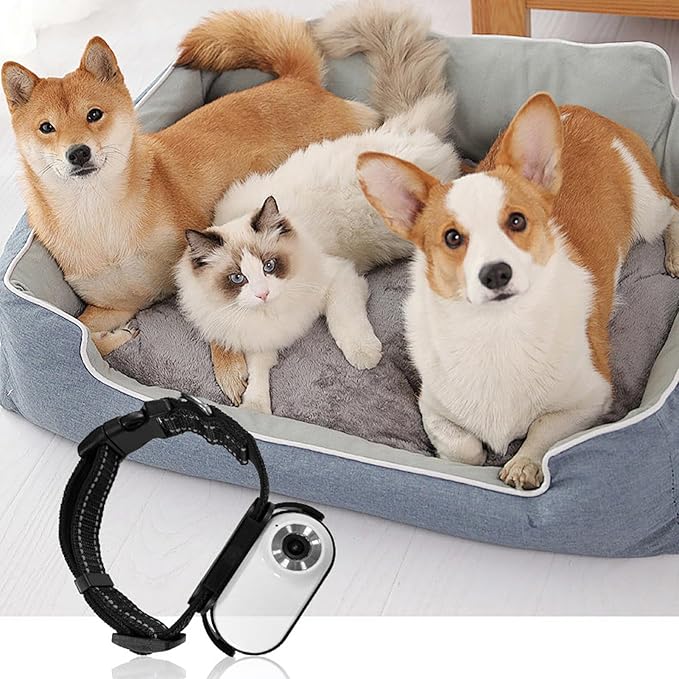 ASHATA Pet Collar Camera, HD 1080P Cat Camera Collar with Video Record (White)