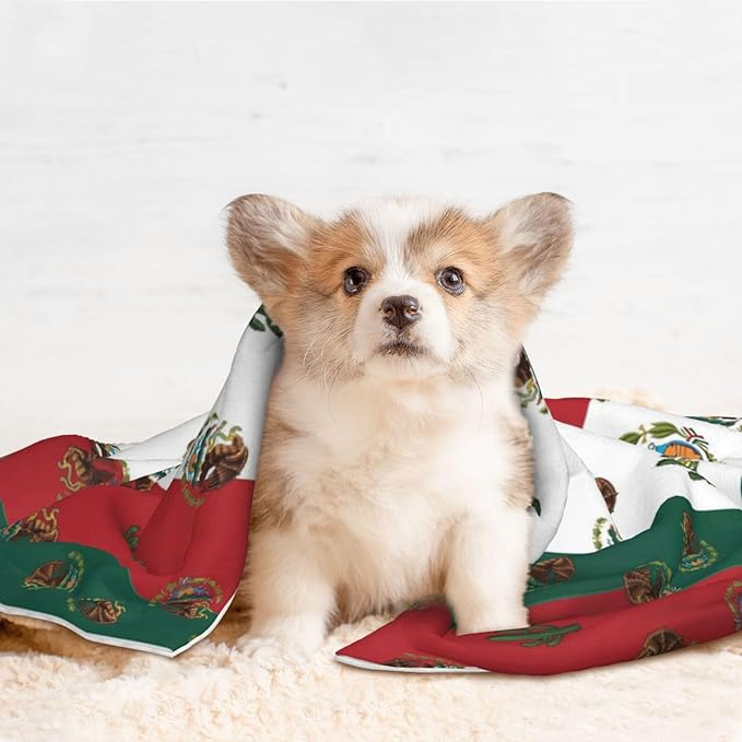 Reversible Plush Throw for Dogs and Cats, Mexican Flag, Double Sided Blanket with Nubby Dot Side and Sleek Side Ideal for Cuddling Nesting Security
