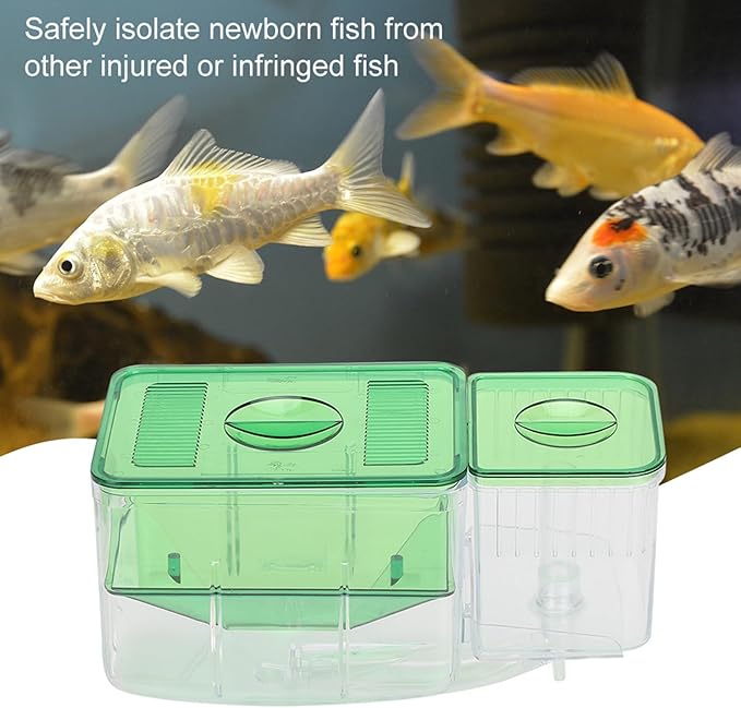 Breeder Box for Fish Tank, Breeding Transparent Aquarium Little Hatching Tanks Double Layer Isolation Hatchery Incubator Injured Small Shrimp Nursery Tank Divider Safe Separation