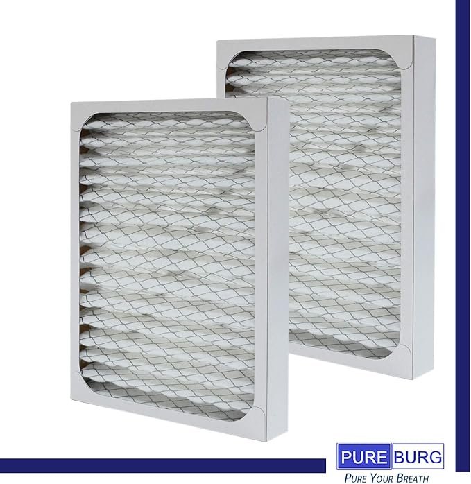 PUREBURG 2-Pack Replacement HEPA Filters Compatible