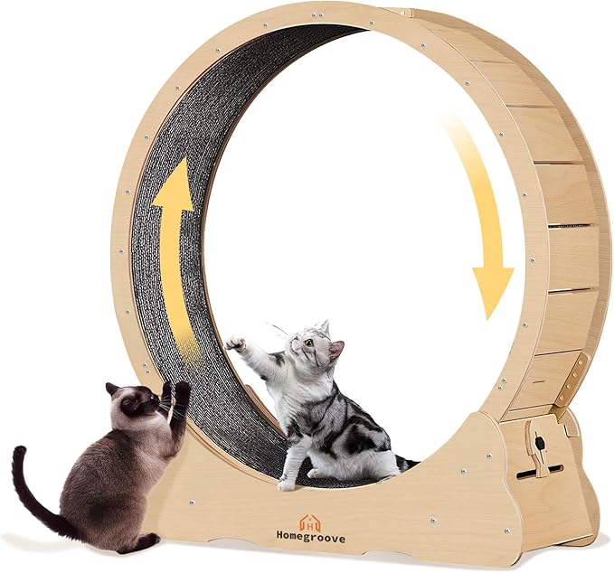 Homegroove 35.4 Inch Cat Exercise Wheels for Indoor Cats, Versatile Cat Toy Running Wheel Treadmill with Detachable Carpet for Weight Loss and Health, Natural Wood Color(M)