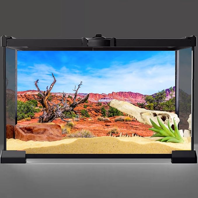 AWERT 30x18 inches Reptile Habitat Background Blue Sky Oasis Orange Desert Terrarium Background