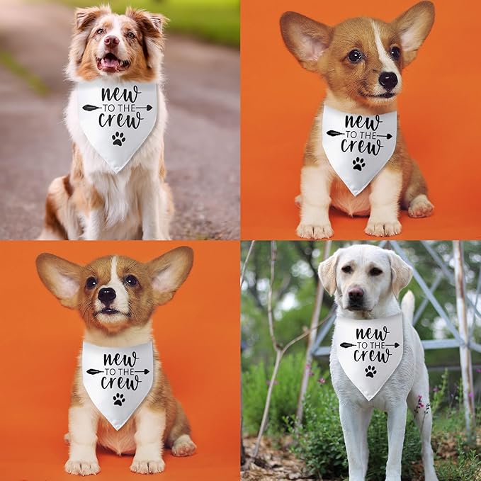 New to The Crew Dog Bandana New Puppy Announcement Gift for New Owners Puppy Bandana Dog Owner Gifts Triangle Bibs Scarf Accessories for Small Medium Dogs Pets