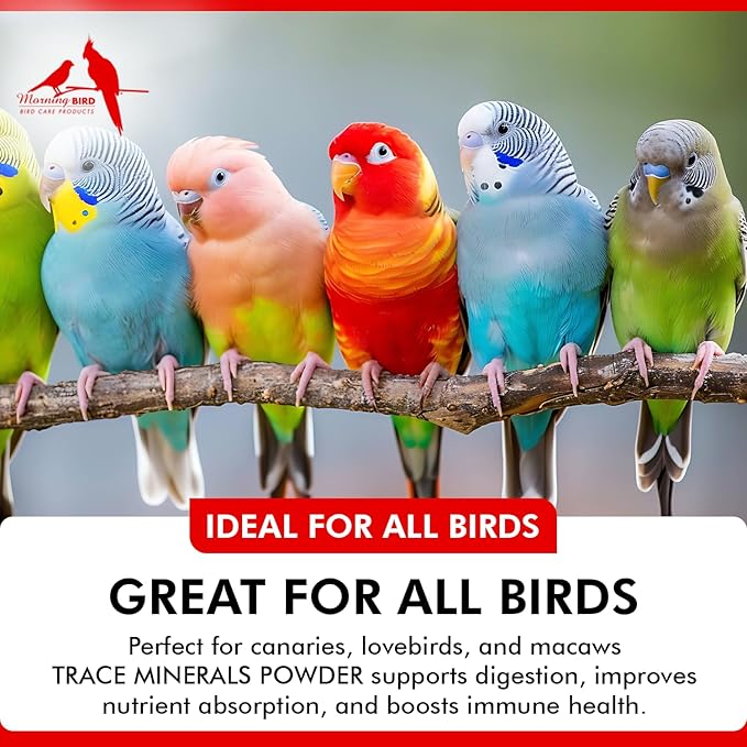 Morning Bird Trace Minerals Powder 16 Oz – Complete Mineral Supplement for Birds – Promotes Energy, Metabolism & Enzyme Activity – Easy to Mix for Daily Vitamin Support.