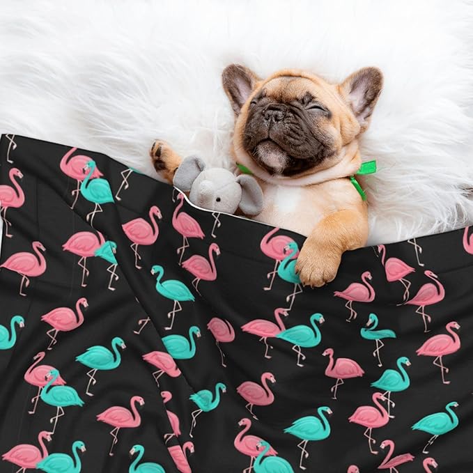 Two Sided Plush Pet Blanket for Warmth Comfort, Flamingo Pattern, Reversible Throw with Cozy Nubby Side for Chilly Nights Napping Spots Around House