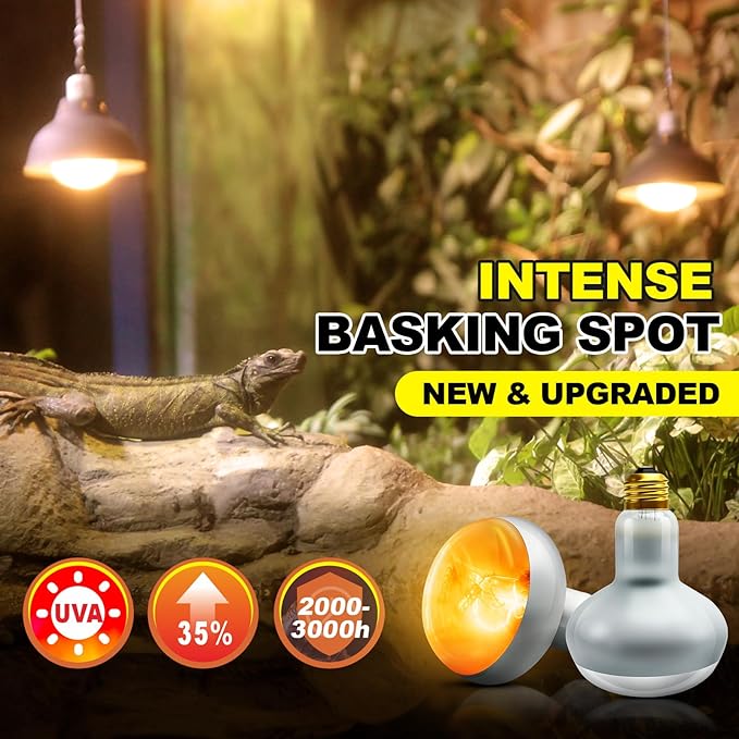 MIXJOY 100W Reptile Heat Lamp Bulb, 2Pack Reptile Basking Spot Light, Upgraded Intense Heat Basking Bulb, UVA Daylight Heat Lamp Bulbs for Reptiles, Bearded Dragon, Lizard, Tortoise, Chicken