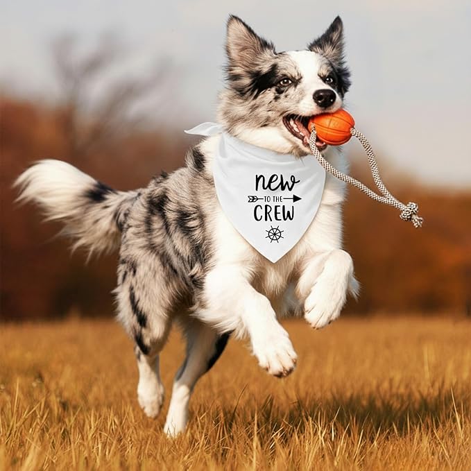 New to The Crew Dog Bandana New Puppy Announcement Gender Reveal Gift for New Owners Puppy Bandana Dog Owner Gifts Soft Triangle Bibs Scarf Accessories for Small Medium Dogs Pets (White)
