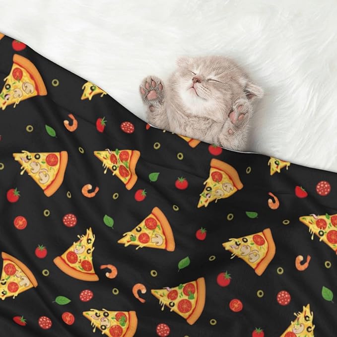 Reversible Dog Blanket for Beds Couches, Cartoon Pizza Slices, Double Sided Cat Blanket with Textured Dot Feel and Smooth Feel for Seasonal Comfort All Year