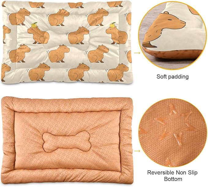 Pet Bed Cute Capybara Dog Bed Mat Absorbing Non Slip Pad Pet Sleeping Mat for Small, Medium, and Large Dogs Puppy Cat 36 in x 24 in