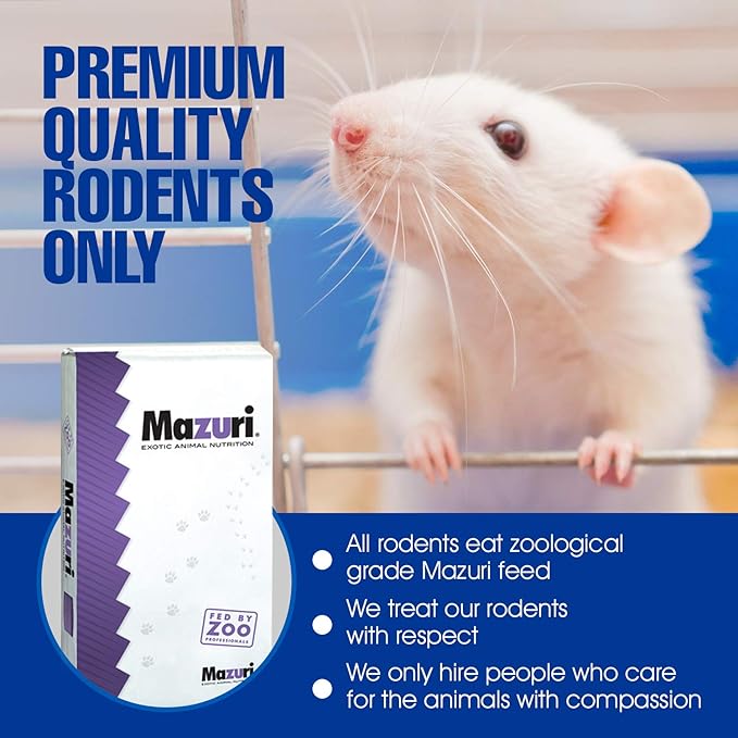 MiceDirect EST. 2003 Frozen Rat Combo Pack Rat Weanlings & Rat Smalls Feeder Snake Food for Sub-Adult Ball Pythons Monitors, 40 Ounce (20 Count)