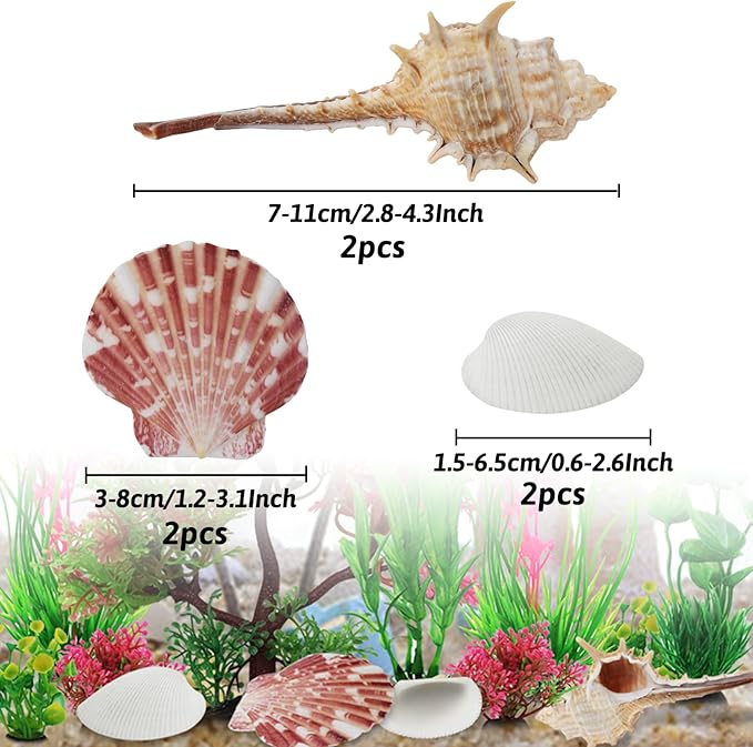 Aquarium Plants with Natural Decorations Shells, 15pcs Fish Tank Decoration Colorful Artificial Fish Tank Decor Plants Aquarium Decorations for Household and Office Aquarium Simulation