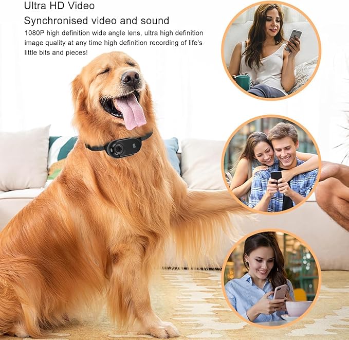 1080p Hd Cat Camera Collar - 2.4g Wireless Pet Video Recorder, Wearable Action Camera with App for Dogs & Cats, Ideal for Outdoor Vlogging & Pet Monitoring Black