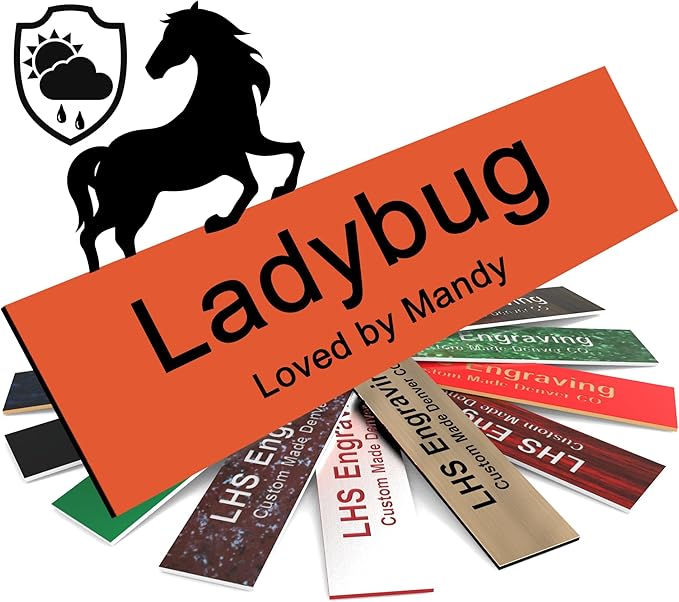 Horse Stall Name Plate, 2x12 Personalized Stall Signs, UV Protected, All Weather Adhesive, Hanging, Mounting or Other, Orange Plastic with Black Letters - Made in USA - B11