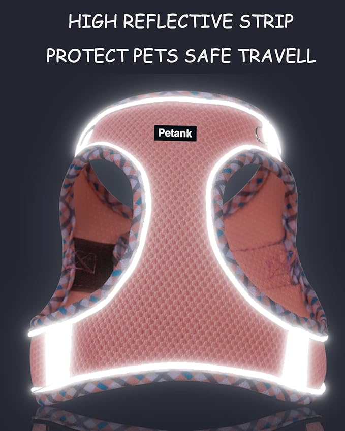 Petank Dog Harness for Small Medium Dogs No Pull, Puppy Harness and Leash Set, Step in Dog Harness for Walking, Running, Training, Small Dog Vest(Green, XXS)