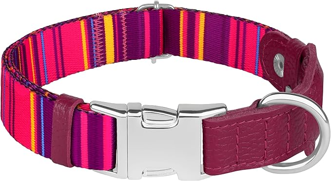 AirTag Dog Collar for Small Medium Large Breed - Adjustable Cute Pattern Dog Collar with Airtag Holder - Soft Leather Tracker GPS Apple Air Tag Pet Collars (Small, 12"-15" Neck Fit, Striped)