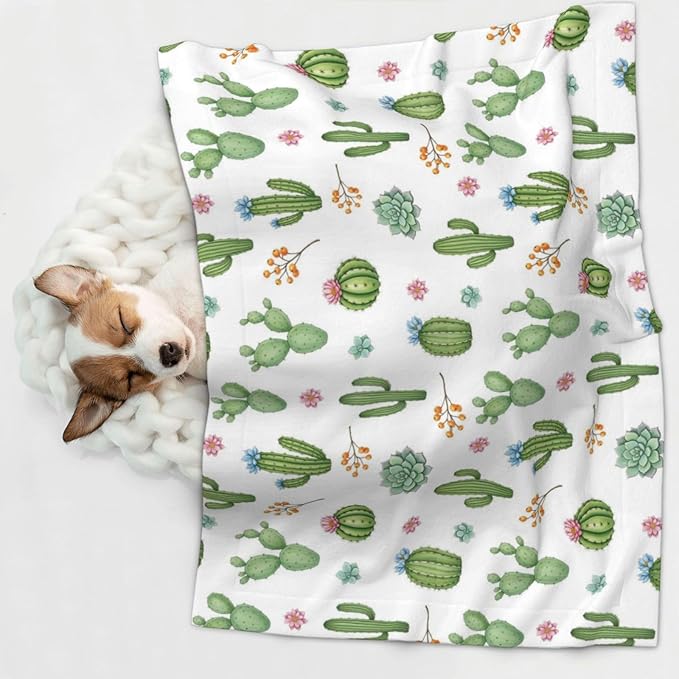 Double Sided Pet Throw for Dogs Who Shed, Watercolor Elements Succulent Plants Cactus, Reversible Blanket with Nubby Dot Side Catches Loose Fur for Easier Furniture Cleanup