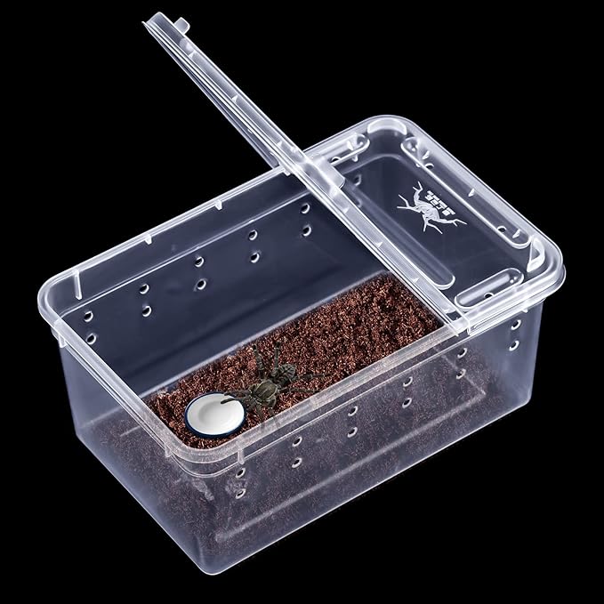 Irenare 8 Pcs Reptile Breeding Box Plastic Spider Terrarium Tarantula Feeding Box for Bearded Dragon Lizard Spider Gecko Scorpion(Vent Holes,Clear,5.9 x 3.9 x 2.5 Inch)
